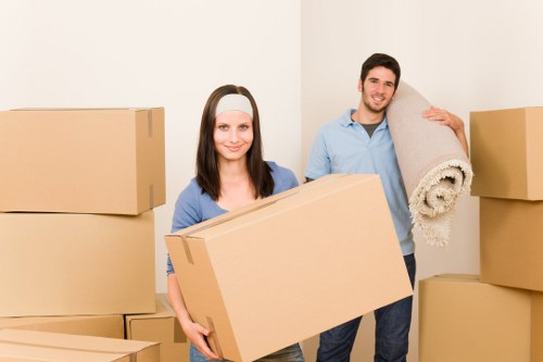 Local movers unloading furniture near Docklands waterfront residences